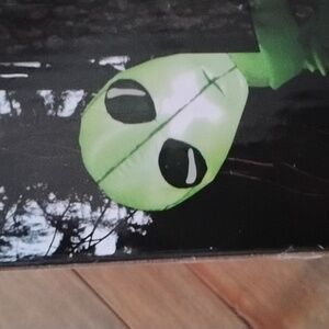 Green Holiday Decor Inflatable with LED Lights